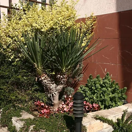 Fjord מלון 3*